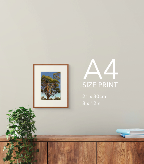 Hitting the High Note Print