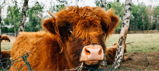 How a Casual Job Made Me a Better Artist. Or, Redefining Success.