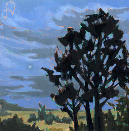 First Star Over Liffey