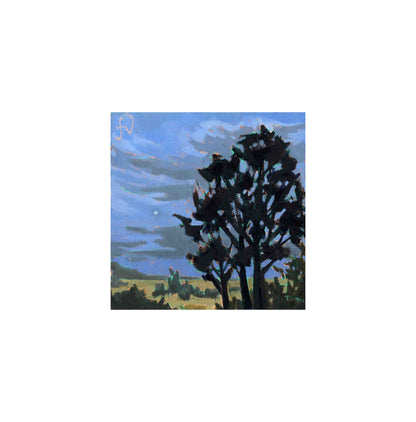 First Star Over Liffey