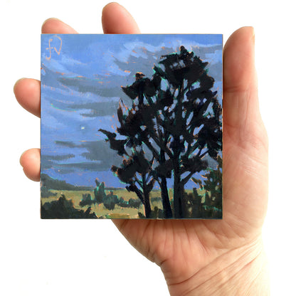 First Star Over Liffey