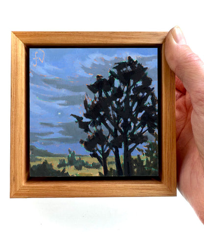 First Star Over Liffey