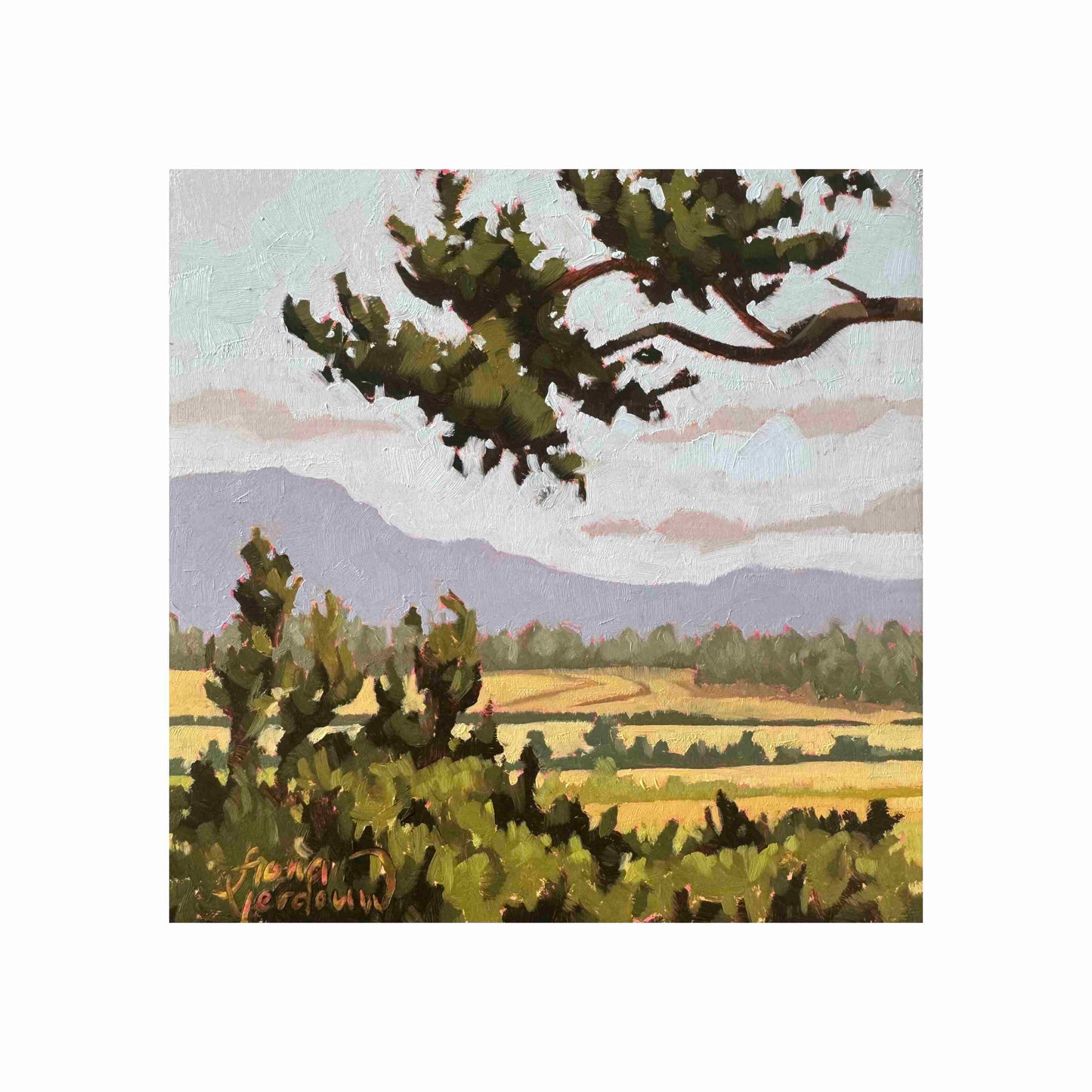 Mountains To Meadows