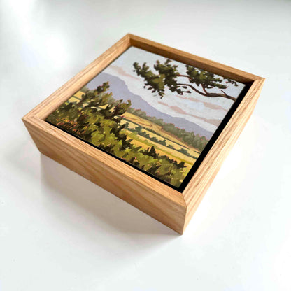 Mountains To Meadows