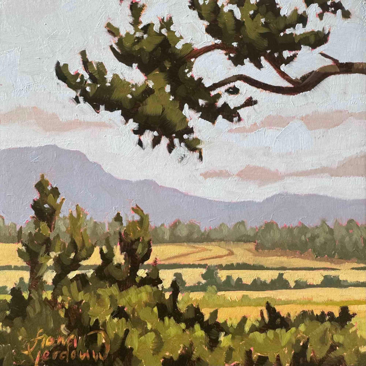 Mountains To Meadows