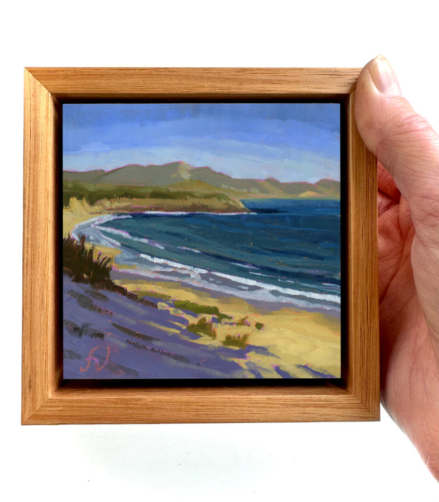 Sunny Day at Crescent Bay