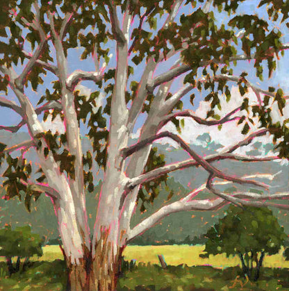 Dappled Light