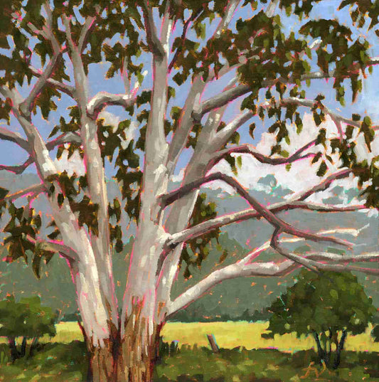 Dappled Light