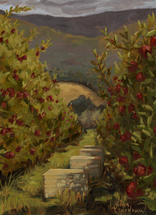 Ripe for the Picking